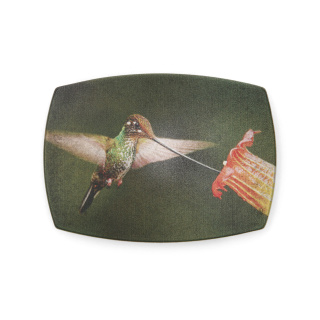 VaModa Gürtelschließe Hummingbird